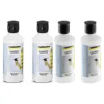 Karcher Window Vacuum Cleaner + 2×500ml Glass Cleaner – RM500